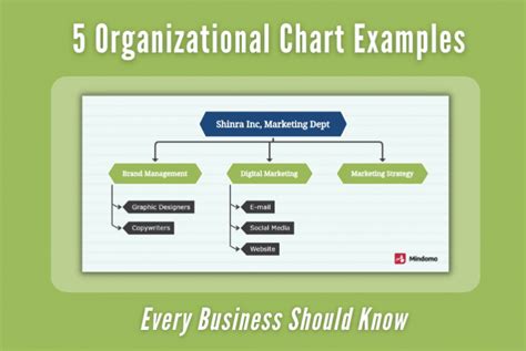 5 Organizational Chart Examples for your Business