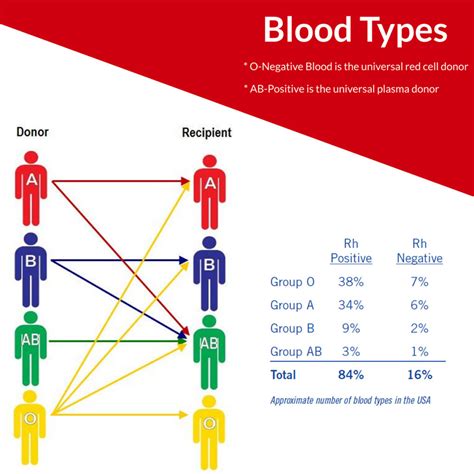 Blood Donor Basics – Dak Minn Blood Bank