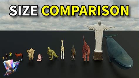 Universe Size Comparison 2023 | 3d Animation Comparison | Real Scale ...