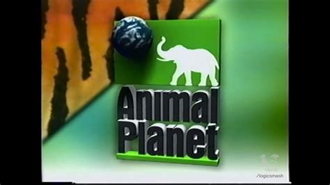 The Best Picture Show/Animal Planet (1999) - YouTube