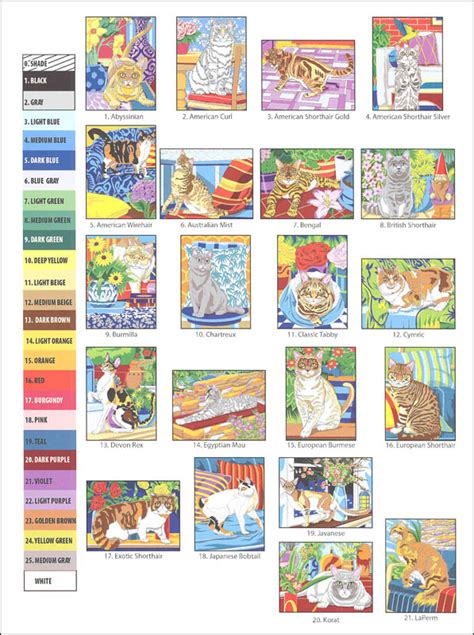 Cats Color by Number Coloring Book (Creative Haven) | Dover Publications | 9780486818535