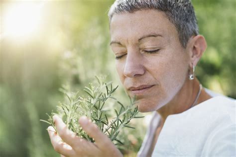 Benefits of nature for your health • In Harmony Sustainable Landscapes