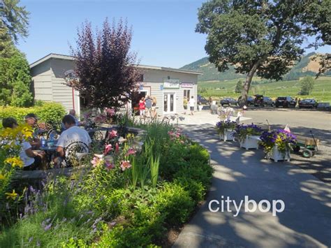 5 BEST Things to Do at Hood River Fruit Loop