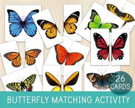 Butterfly Matching Activity Butterfly Puzzles Symmetry Kids - Etsy