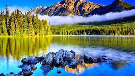 Landscape Of Mountain With Fog And Trees Covered Forest And River ...