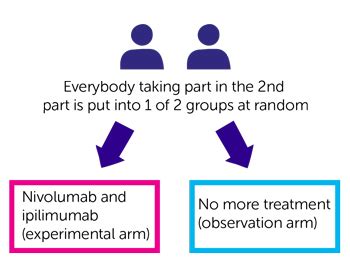 A trial of nivolumab and ipilimumab for small cell lung cancer (STIMULI ...