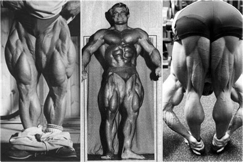 leg muscles bodybuilding > OFF-55%