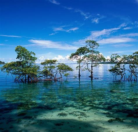 3 Nights Port Blair - 2 Nights Havelock Island - 01 Night Neil Island with Baratang Tour (155237 ...