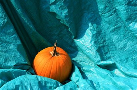 pumpkin on tarp | liz west | Flickr