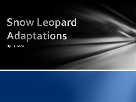 PPT - Snow Leopard Adaptations PowerPoint Presentation, free download - ID:2775804