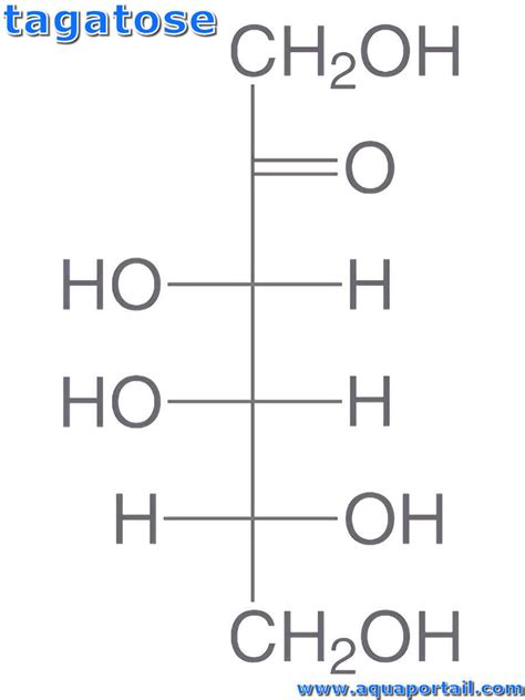 Tagatose : définition et explications