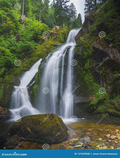 Waterfall black forest stock photo. Image of river, schwarzwald - 131629048