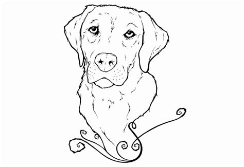 Black Lab Drawing at GetDrawings | Free download