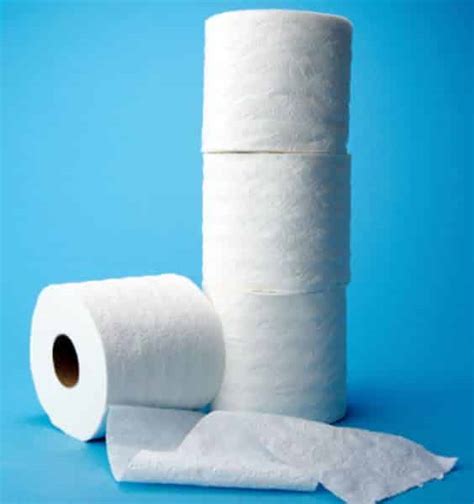 5 Natural Alternatives to Toilet Paper - Brown Thumb Mama®