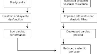 Complications Of Heart Failure - Hear Choices