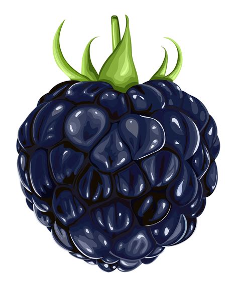 Free Blackberry Cliparts, Download Free Blackberry Cliparts png images ...