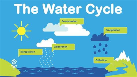 Let's learn about the water cycle