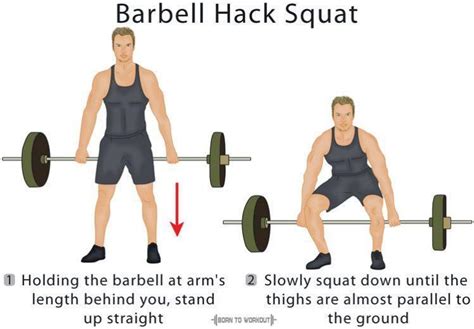 Barbell Hack Squat: How to do, Benefits, Proper Form, Video, Pictures