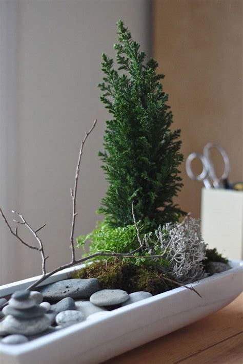 18 Indoor Rock Garden Ideas | How to Make an Indoor Rock Garden | Balcony Garden Web