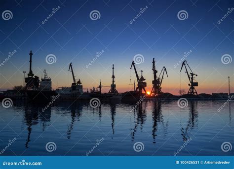 Cargo Cranes in the Dock of Industrial Port Stock Image - Image of maneuvering, shipping: 100426531