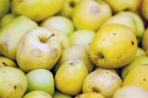 Freshly Harvested Crimson Crisp Apples On Display Stock Photo - Image of health, ripe: 21717472