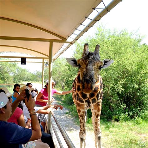 Bioparque Estrella Monterrey Disfruta de atracciones divertidas para ...