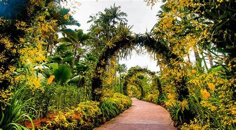 Singapore Botanic Garden - Places in Singapore - World Top Top