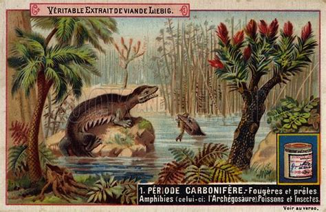 Plants and animals of the Carboniferous period stock image | Look and Learn