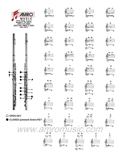 Flute Lesson Videos - The Flute