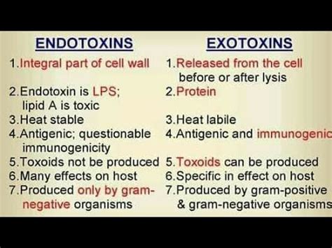 Endotoxin and Exotoxin - YouTube