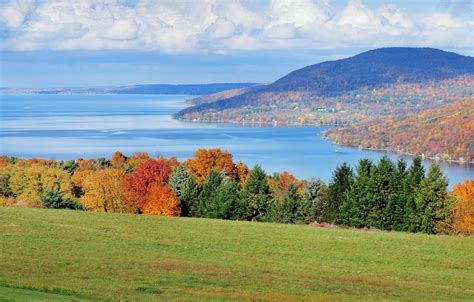 Land For Sale Finger Lakes, NY | WeSellNewYorkLand.com