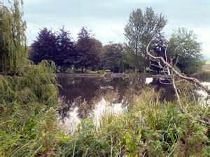 Old Mill Pond © James Hill cc-by-sa/2.0 :: Geograph Britain and Ireland