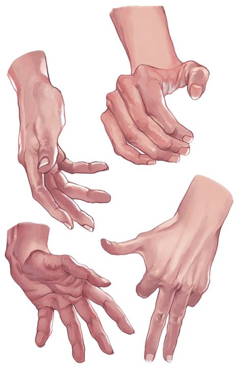 (19) Twitter | Hand drawing reference, How to draw hands, Hand reference