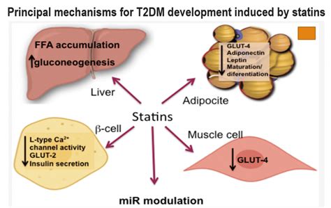 How to Tackle Statin Induced New Onset Diabetes (Type-2) - CME INDIA