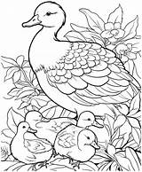 Duck Family Coloring Page Art Starts For Kids Peppa Pig Ducks sketch template