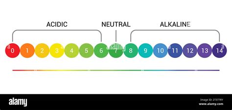 pH scale indicator chart diagram acidic alkaline measure. pH analysis vector chemical scale ...