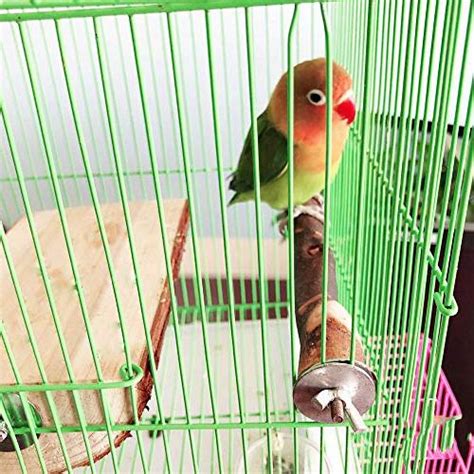 bird perches Parrot Cage Perch, Wooden Platform