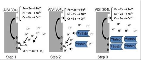 Proposed mechanism to explain both the corrosion and protection exerted... | Download Scientific ...