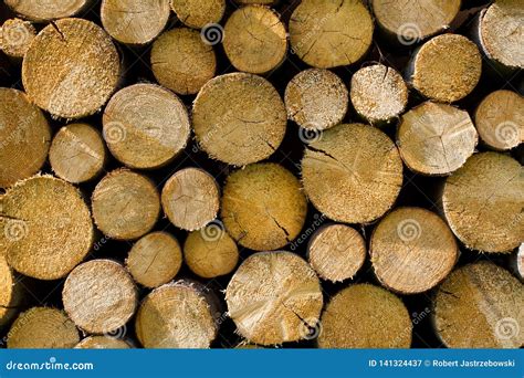 Pile of Timber Logs View from the Cut Side Stock Image - Image of environment, hardwood: 141324437