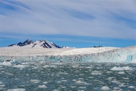 Premium Photo | Arctic landscape