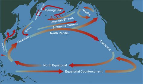 Pacific Currents Map