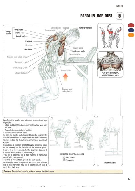 Strength Training Anatomy 2nd Edition | Strength training anatomy, Strength training, Anatomy