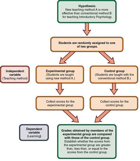 A flowchart that shows the process of an experimental design. It starts with the hypothesis ...