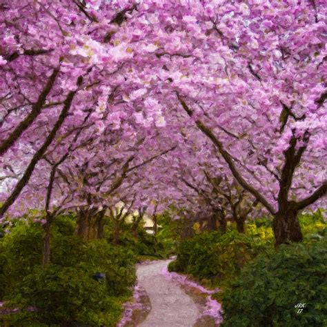 Cherry Blossom Path Painting by John Kohn | Pixels