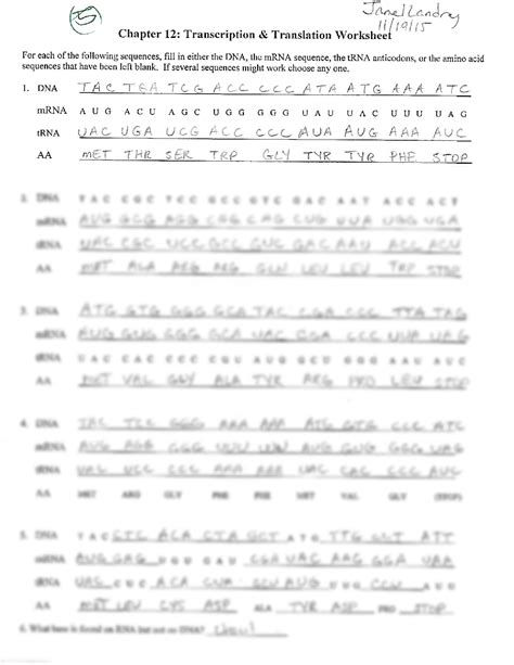 Dna Transcription And Translation Worksheet