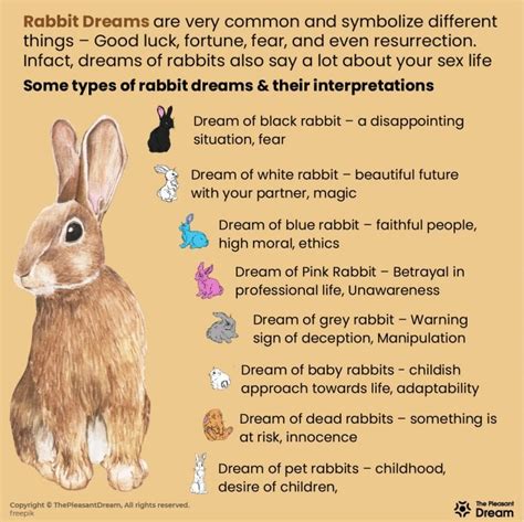 Dreaming of Rabbits – 59 Types and its Interpretation | Dream of Bunny