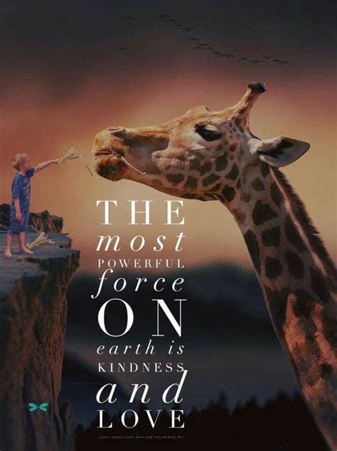 Giraffe Quotes, Giraffe Facts, Nature Quotes Inspirational, Positive ...