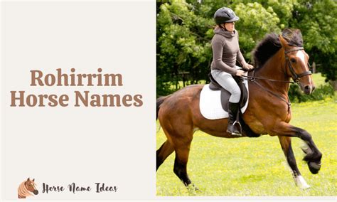 250 Rohirrim Horse Names (With Meanings) - HorseNameIdeas.com