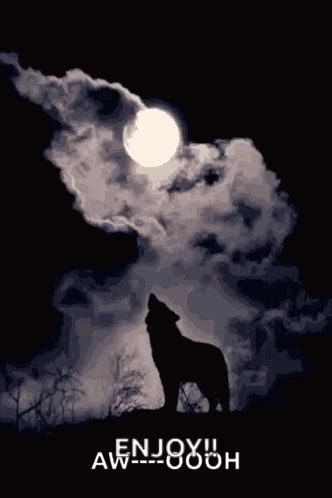 Howling Wolf Full Moon GIF - Howling Wolf Full Moon Cloudy - Discover ...