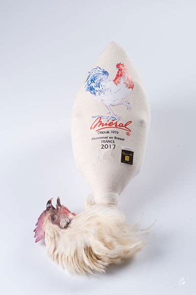 AOP Female Bresse chicken ‘’Poularde’’ ‘’rolled’’ - Miéral